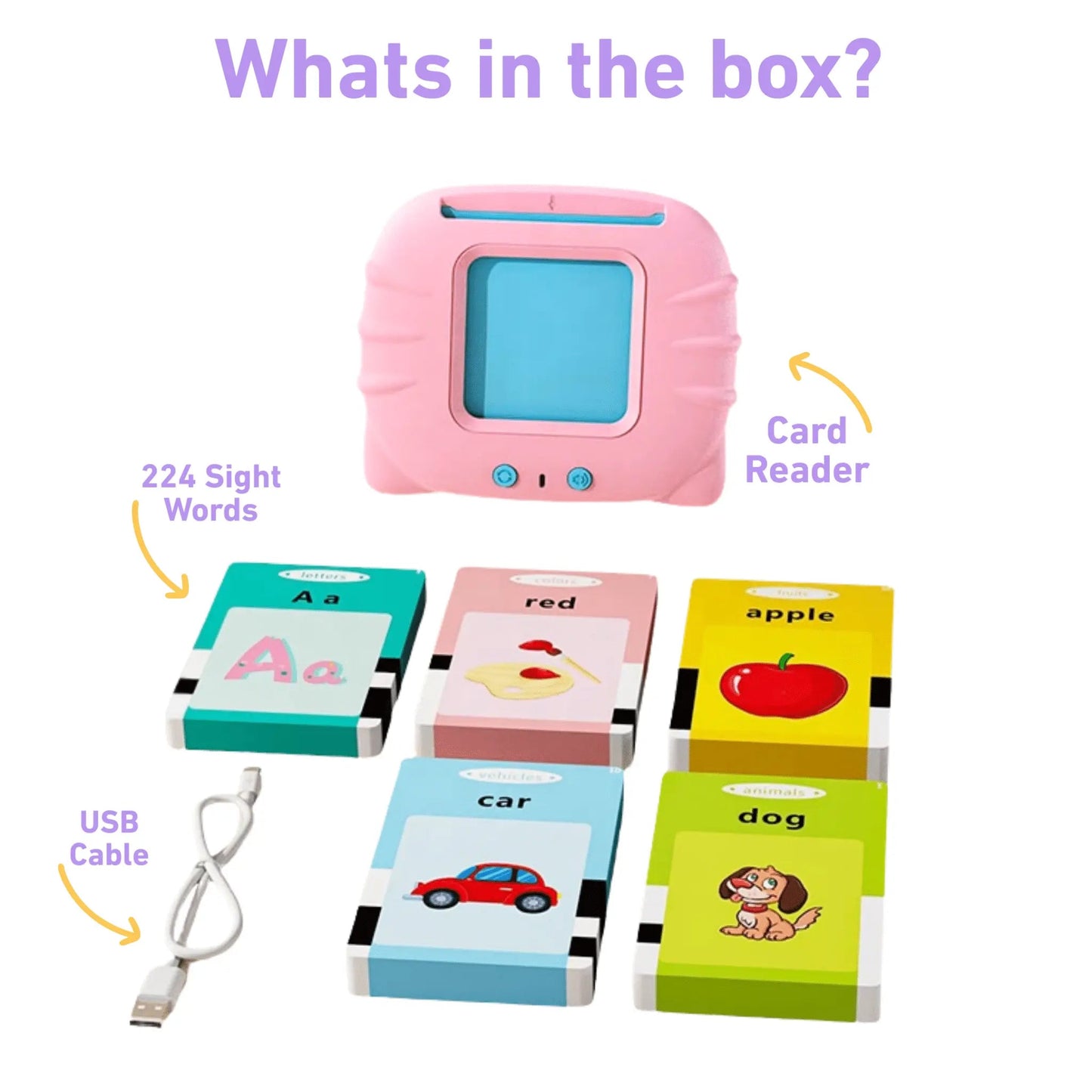 ToddleReady Talking Flashcards Home Kit