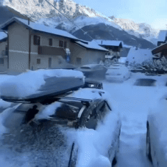 SnowJet Handheld LED Turbo Blower