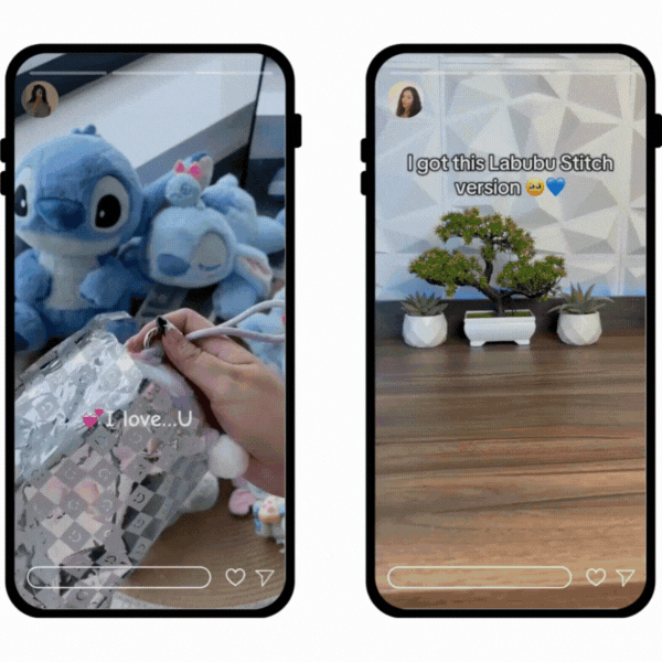 Stitch Mystery Box Delight