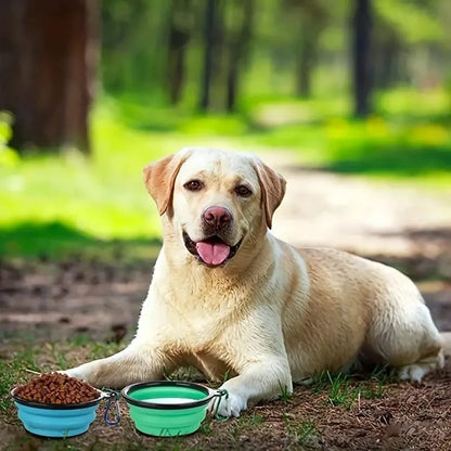 TrailMate Collapsible Dog Bowl Travel Pack
