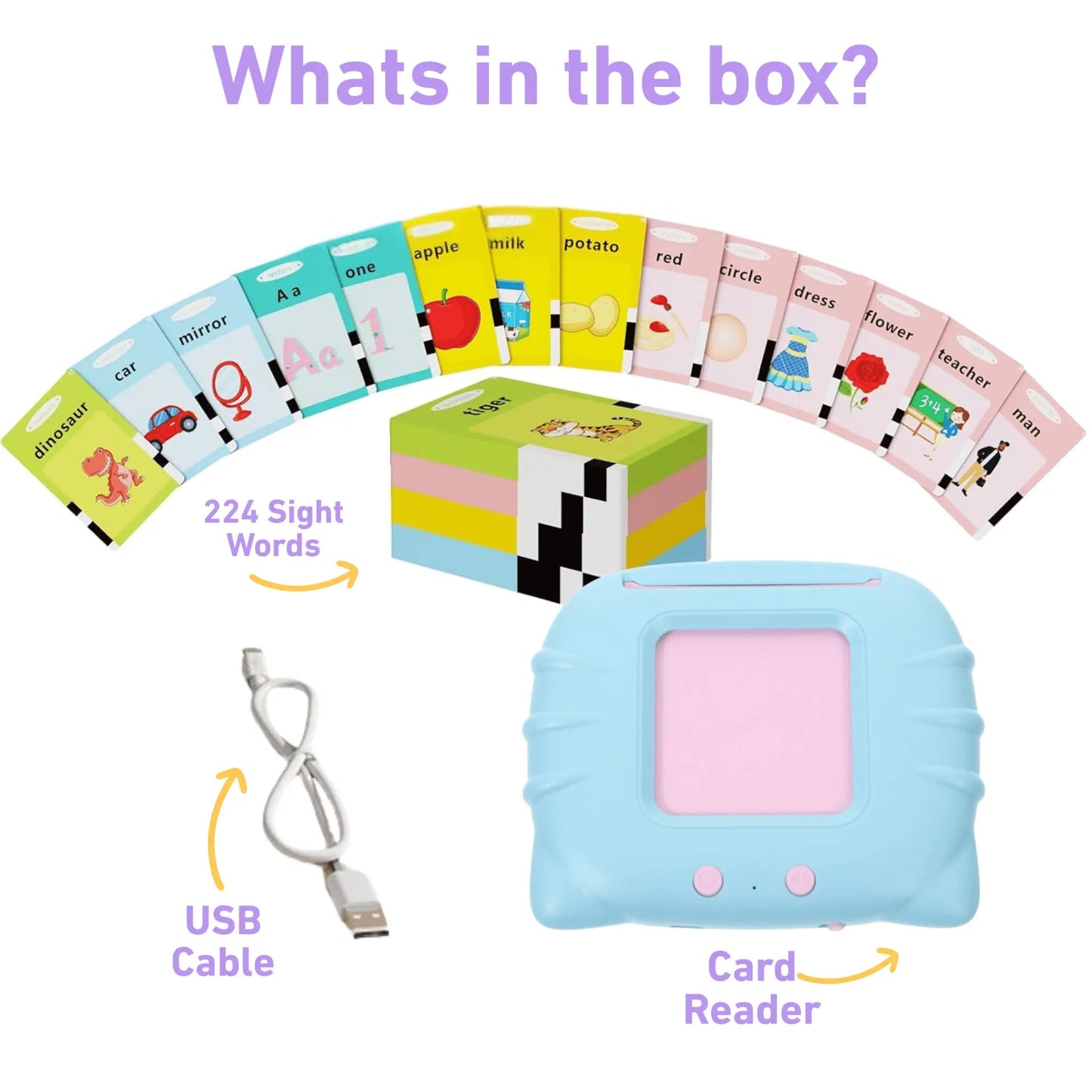 ToddleReady Talking Flashcards Home Kit