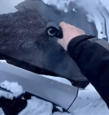 SnowJet Handheld LED Turbo Blower