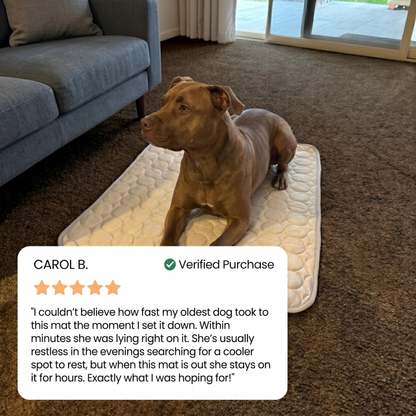 CoolRest Portable Pet Cooling Mat